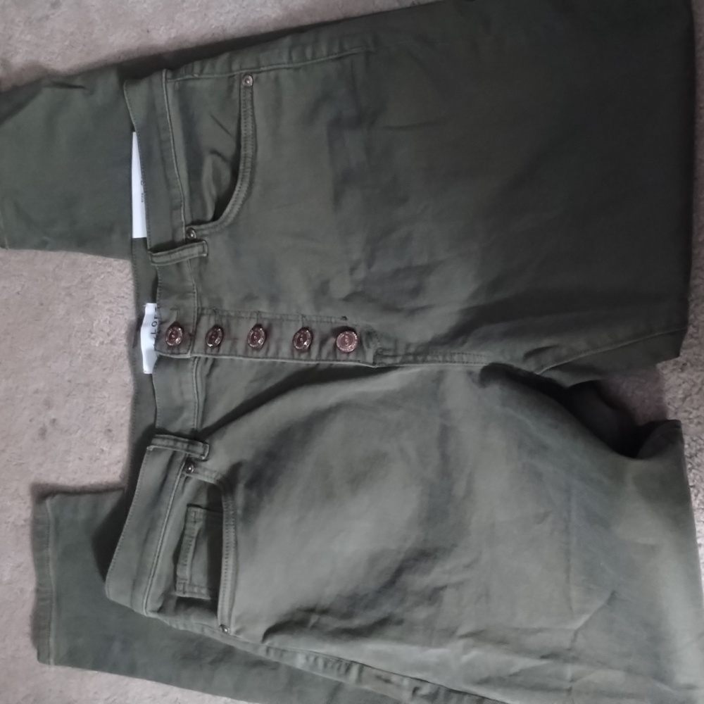 NWT LOFT green high waist skinny ankle pants size 12 31